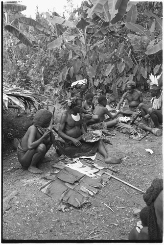 Pig festival, pig sacrifice, Tsembaga: ritual exchange of shell valuables, steel axes, and other wealth displayed on mat, people share pork