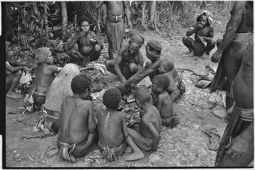 Distribution of wild pig meat: Tomegai and Kwibigai clans feast on pork