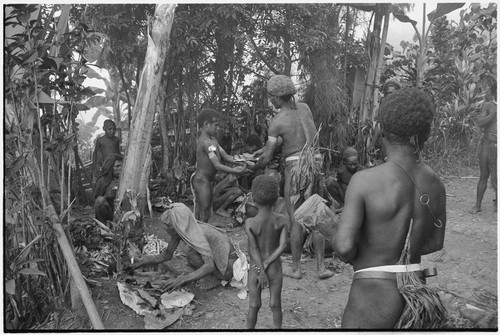 Distribution of wild pig meat: Tomegai and Kwibigai clans feast on pork