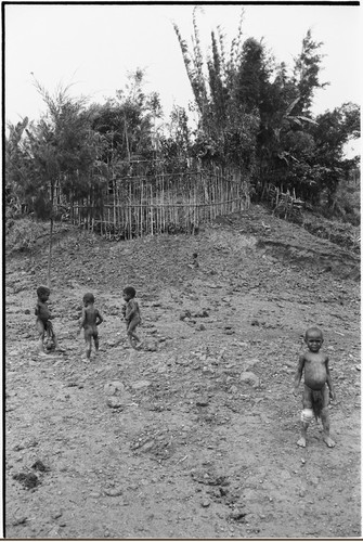 Pig festival, pig sacrifice, Tsembaga: framework of ritual fence, through which allies will be given pork, small children in foreground