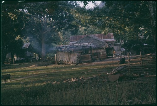 Houses and surroundings, Papetoai, Moorea