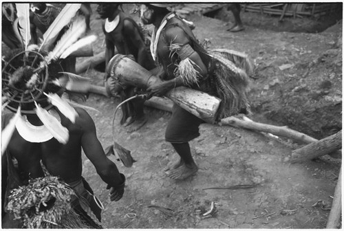 Pig festival, pig sacrifice, Tsembaga: decorated men with kundu drums and aglanema leaves, note framework of headdress on left and grass busltes