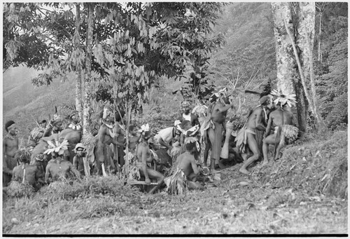 Pig festival, uprooting cordyline ritual, Tsembaga: men make stylized aggressive charge in front of government rest house, near clan boundary