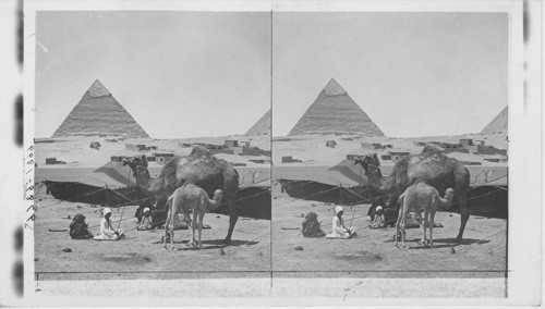 A Baby of the desert, Egypt