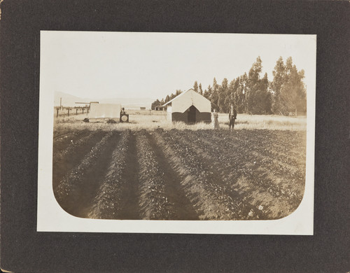 Beaumont farming in the early days
