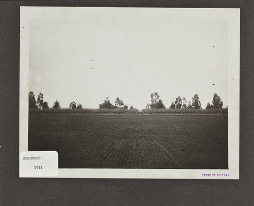 Beaumont Fruit Orchard, 1911