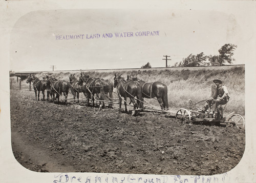 A worker plowing and breaking ground for planting crops — Calisphere