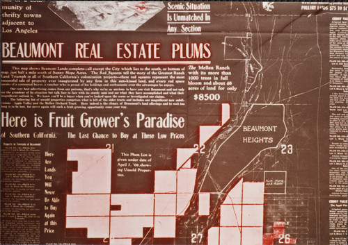Beaumont Real Estate, plums