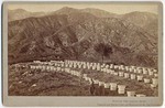 [Apiary at Cogswell's Sierra Madre Villa]