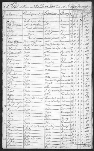 Account book - A list of slaves on Hallhead Estate