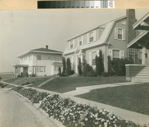 [Photograph of residences on Carlston Street]