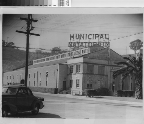 [Photograph of the Municipal Natatorium B]