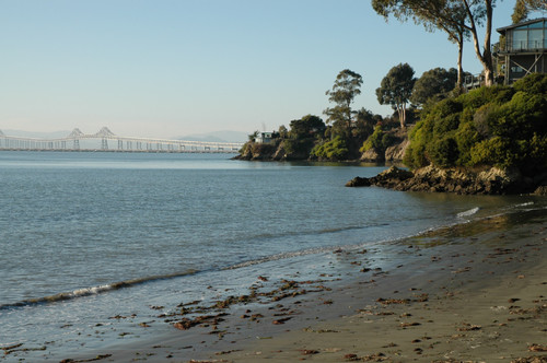 [Photograph of the Miller-Knox Regional Shoreline]