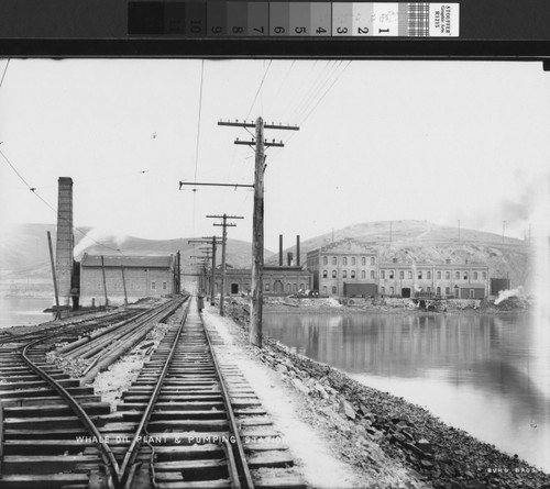 [Photograph of Whale Oil Plant and Pumping Station]