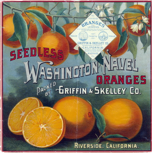 Crate label, "Seedless Washington Navel Oranges." Packed by Griffin & Skelley Co., Riverside, Calif