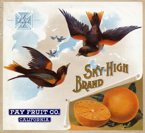 Crate label, "Sky-High Brand." Fay Fruit Co. Riverside, Calif