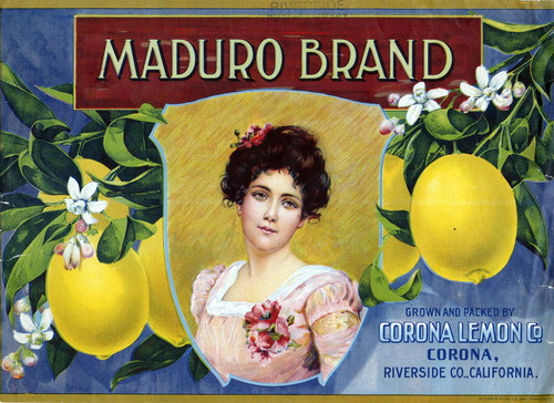 Crate label, "Maduro Brand." Corona Lemon Co., Corona, Riverside Co. California