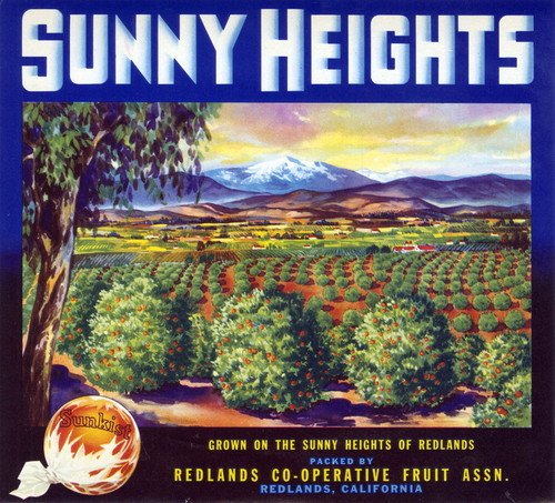 Crate label, "Sunny Heights." Grown on the sunny heights of Redlands. Packed by Redlands Co-Operative Fruit Assn. Redlands, Calif