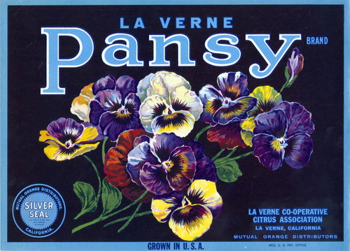 Crate label, "Pansy Brand." La Verne Cooperative Citrus Association. Mutual Orange Distributors. La Verne, Calif