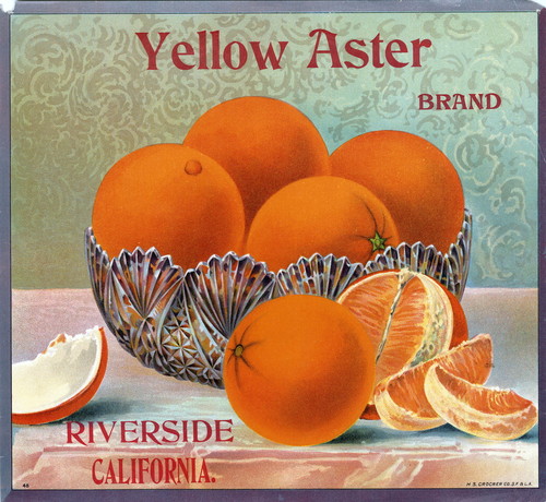 Crate label, "Yellow Aster Brand." Riverside, Calif