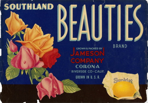 Crate label, "Southland Beauties Brand." Grown and Packed by Jameson Company, Corona, Riverside Co., Calif