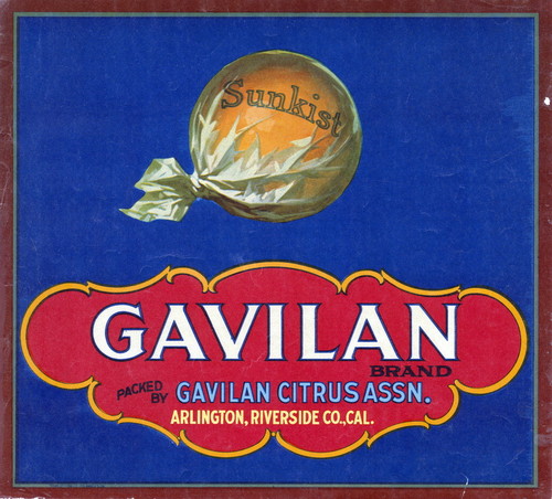 Crate label, "Gavilan Brand." Packed by Gavilan Citrus Assn., Arlington, Riverside Co., Calif