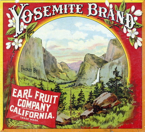 Crate label, "Yosemite Brand." Packed by Earl Fruit Company, Riverside, Calif