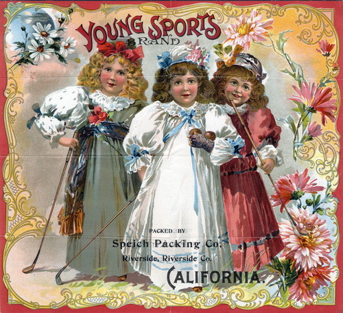 Crate label, "Young Sports Brand." Packed by Speich Packing Co., Riverside, Calif