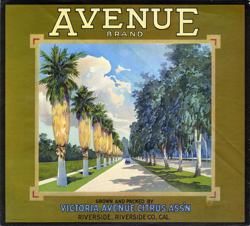 Crate label, "Avenue Brand." Grown and packed by Victoria Avenue Citrus Assn. Riverside, Calif