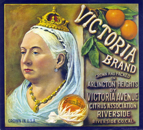 Crate label, "Victoria Brand." Grown and packed on Arlington Heights by Victoria Avenue Citrus Assn. Riverside, Calif