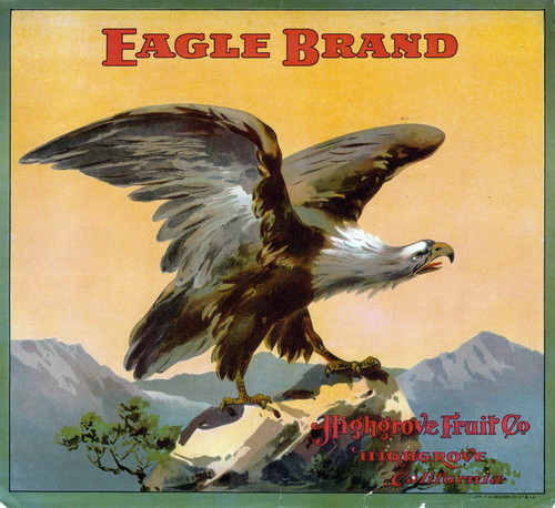 Crate label, "Eagle Brand." Highgrove Fruit Co., Highgrove, Calif