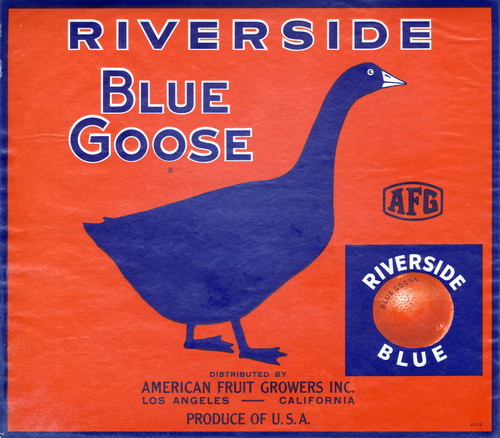 Crate label, "Blue Goose." Riverside Blue. Distributed by American Fruit Growers Inc. Los Angeles, Calif