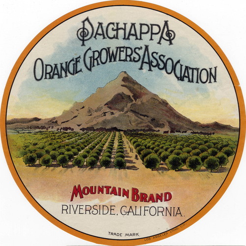 Crate label, "Mountain Brand." Pachappa Orange Growers' Association. Riverside, Calif