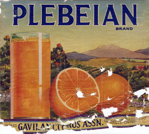 Crate label, "Plebian Brand." Packed by Gavilan Citrus Assn., Arlington, Riverside, Co., Calif