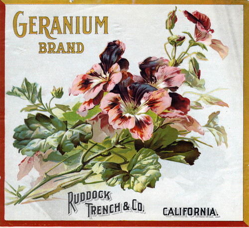 Crate label, "Geranium Brand." Ruddock Trench & Co., Riverside, Calif