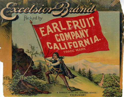 Crate label, "Excelsior Brand." Packed by Earl Fruit Company, California