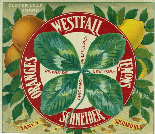 Crate label, "Clover Leaf Brand." Westfall Schneider Oranges Lemons, Riverside Philadelphia, New York, Chicago