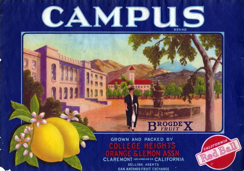 Crate label, "Campus Brand." College Heights Orange & Lemon Assn