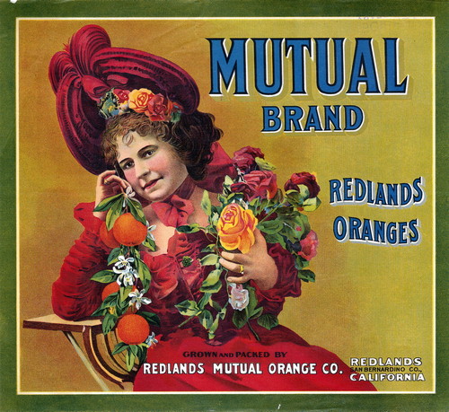 Crate label, "Mutual Brand." Grown and packed by Redlands Mutual Orange Co. Redlands, San Bernardino Co., Calif