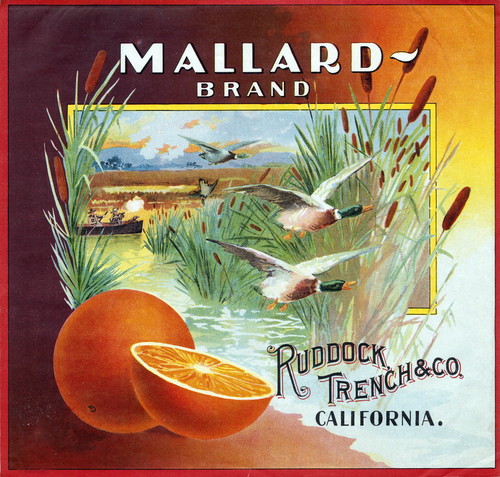 Crate label, "Mallard Brand." Ruddock, Trench & Co. California