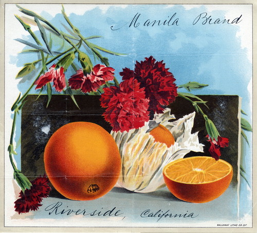 Crate label, "Manila Brand."