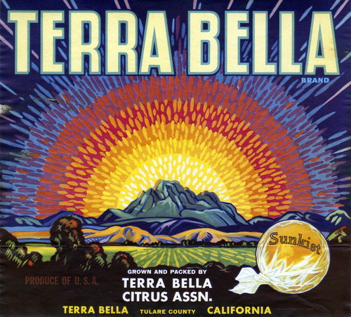 Crate label, "Terra Bella Brand." Grown and packed by Terra Bella Citrus Assn. Terra Bella, Tulare Co., Calif