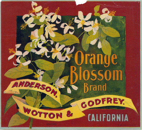 Crate label, "Orange Blossom Brand." Anderson, Wotton, and Godfrey, Riverside, Calif