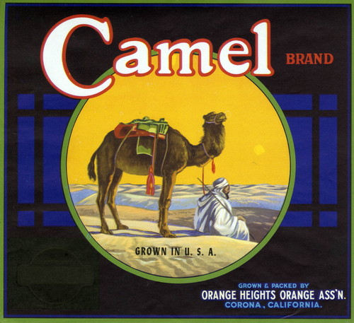 Crate label, "Camel Brand." Orange Heights Orange Assn