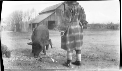 Gloria Pearl Roberts [?] standing next to pigs on farm