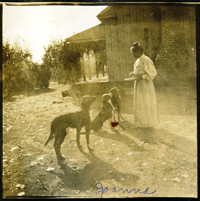 Joana Hinds feeding dogs next to farm house