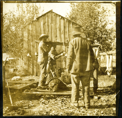 Three farm hands stringing up a hog to be butchered next to shed