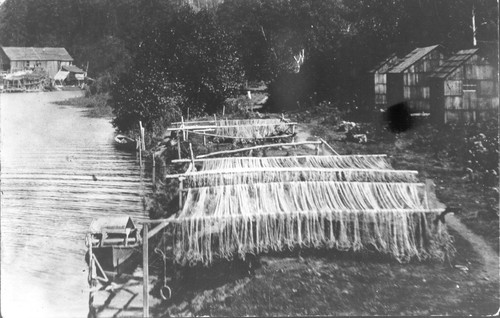 Requa: Fish nets drying along a Klamath River channel