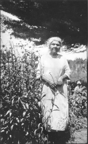 Eliza Lindgren, a Yurok woman. [A. R. P.: Axel Lindgren's grandmother per Ray Brown]. Label in Mrs. Roberts' hand reads:--Yurok Eliza Linger