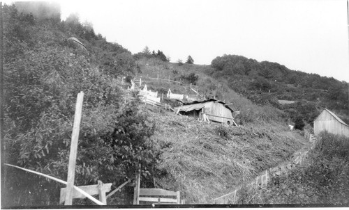 Requa: Brooks' "old-fashioned" house. Shot from mid-distance of the front